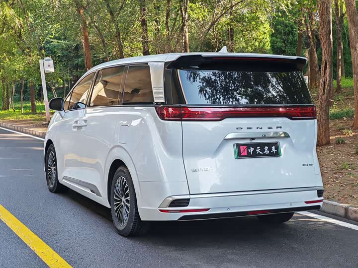 Фото 6 - Denza D9