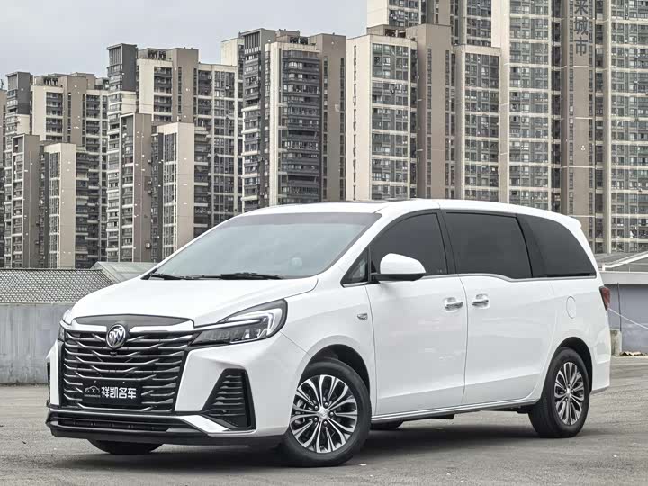 Фото 1 - Buick GL8 ES