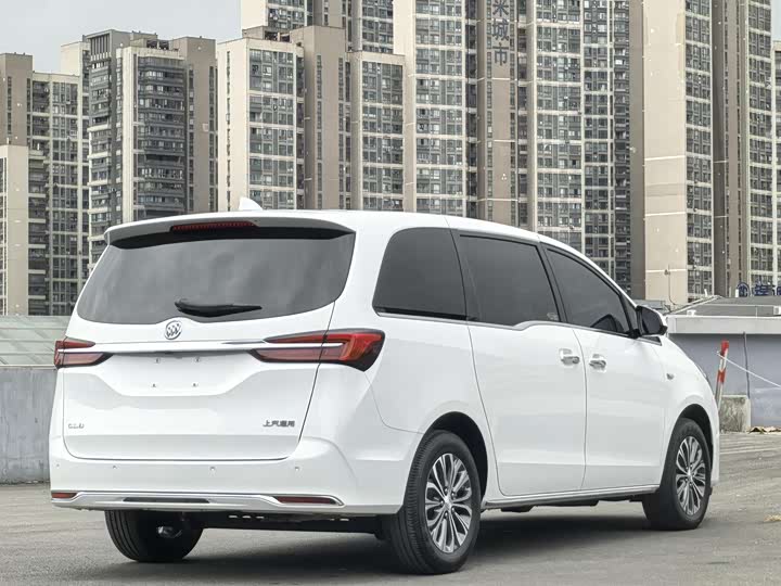 Фото 12 - Buick GL8 ES