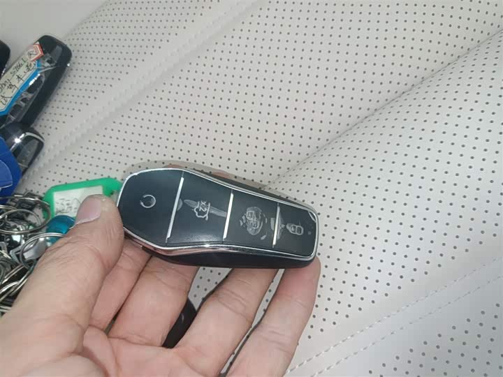 Фото 9 - BYD Han