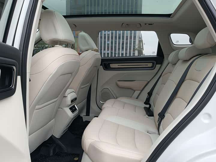 Фото 9 - Geely Icon