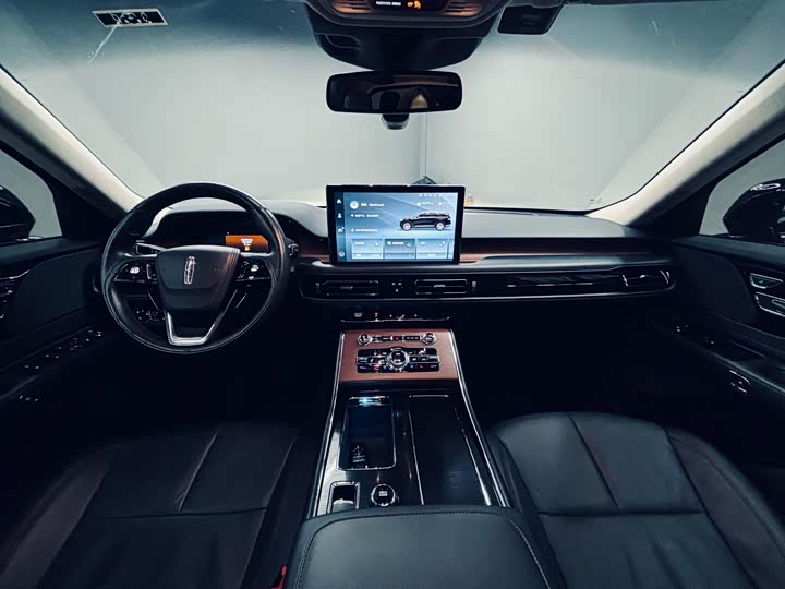 Фото 10 - Lincoln Aviator