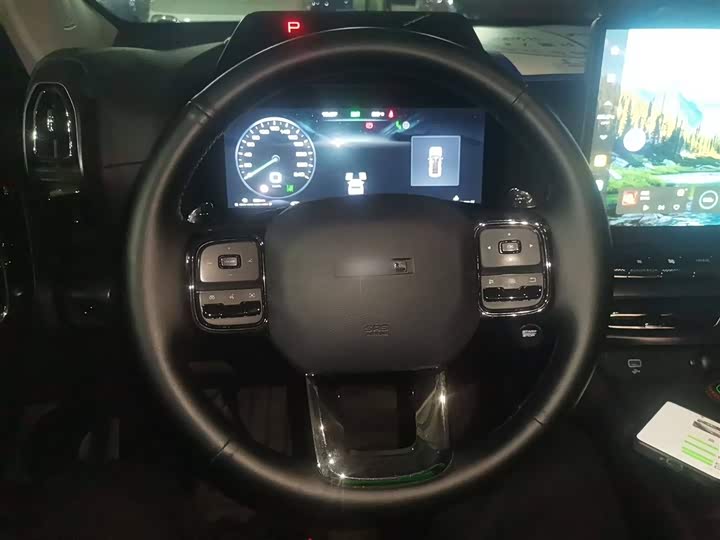 Фото 11 - Haval H-Dog