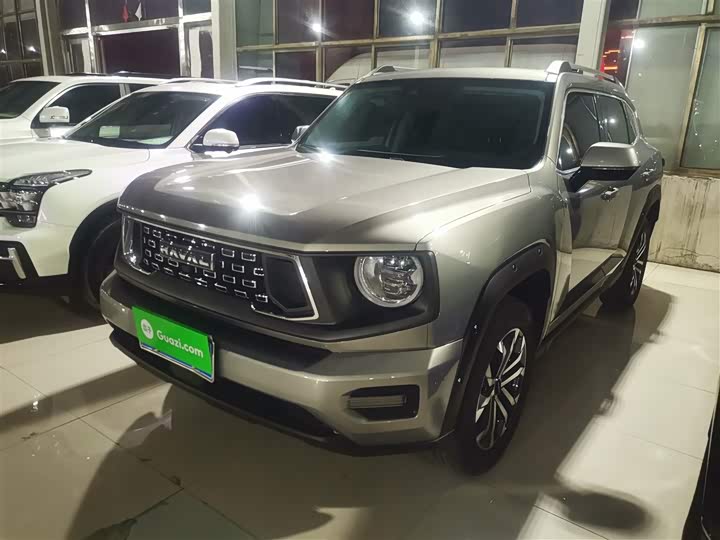 Фото 2 - Haval H-Dog