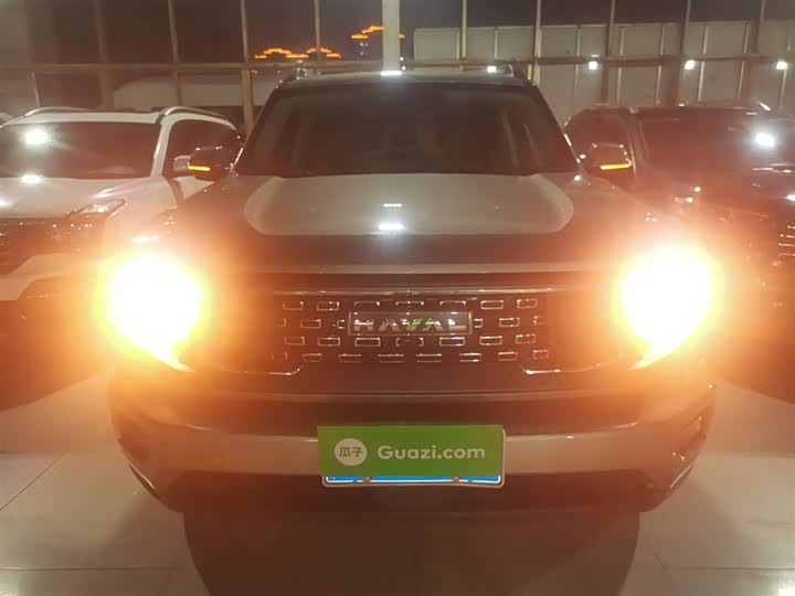 Фото 3 - Haval H-Dog