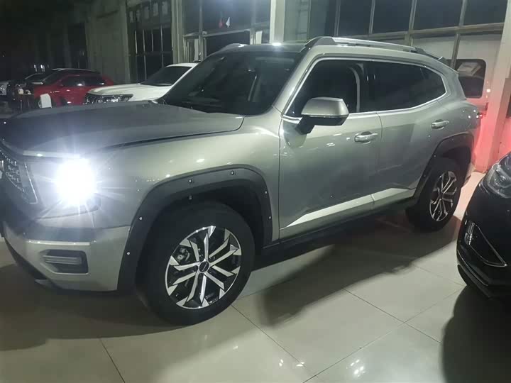 Фото 5 - Haval H-Dog