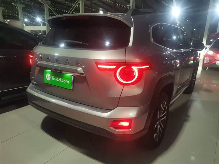 Фото 7 - Haval H-Dog