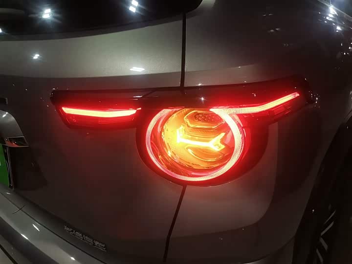 Фото 8 - Haval H-Dog