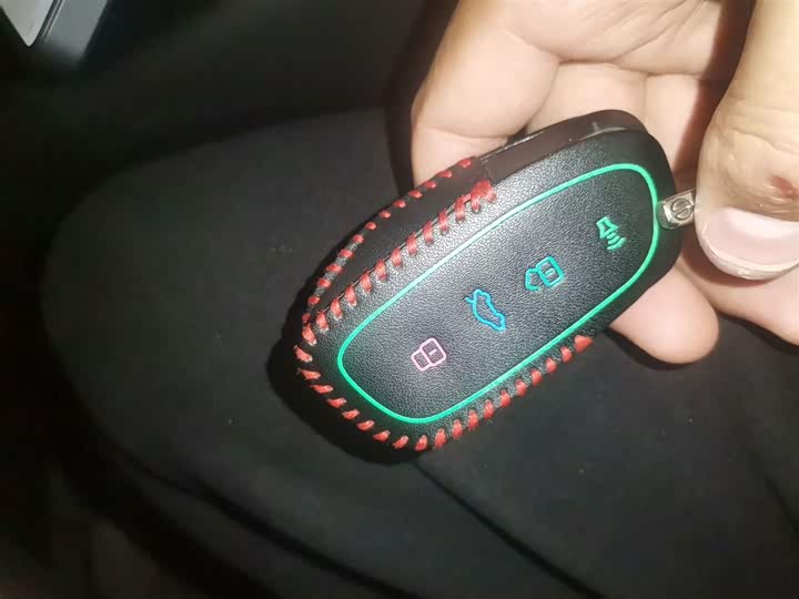 Фото 9 - Haval H-Dog