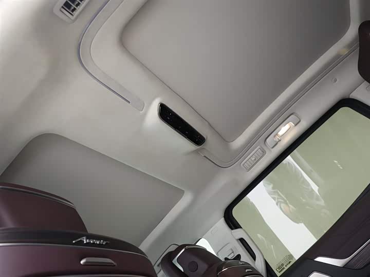 Фото 12 - Buick GL8 Century