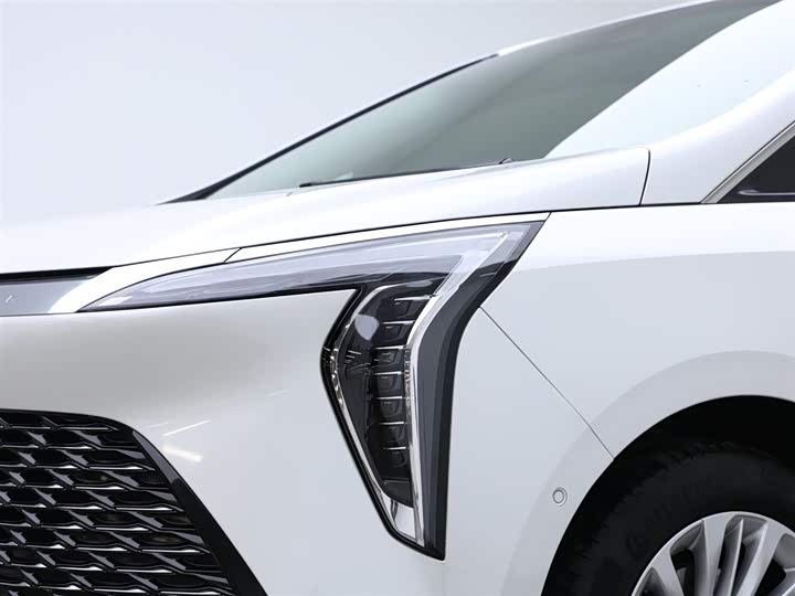 Фото 16 - Buick GL8 Century