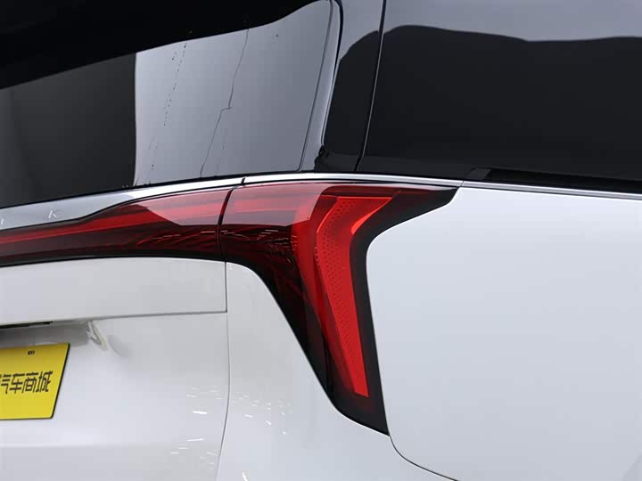 Фото 5 - Buick GL8 Century