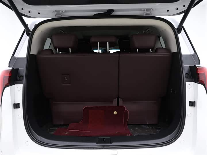 Фото 6 - Buick GL8 Century