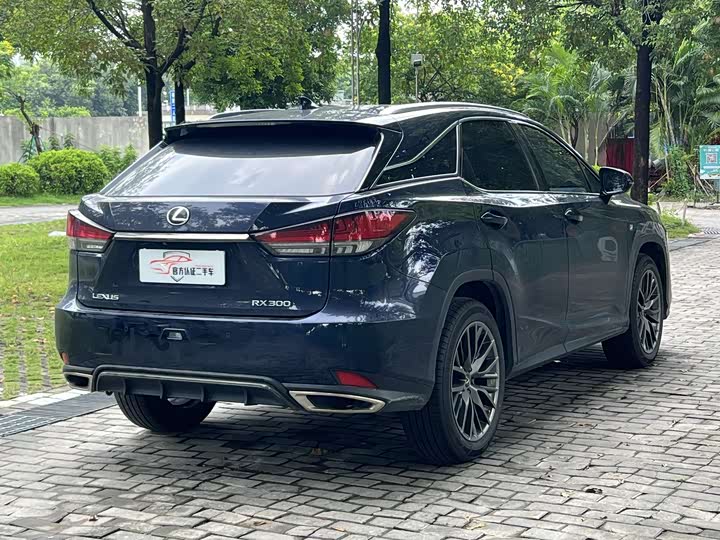 Фото 4 - Lexus RX