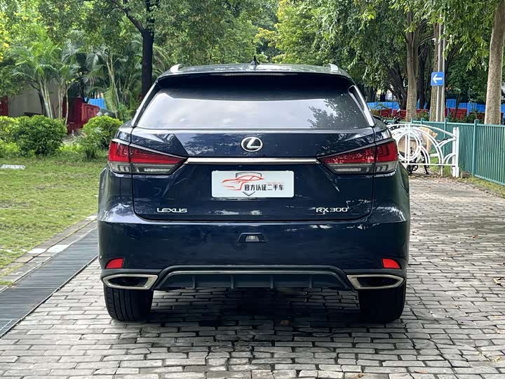 Фото 5 - Lexus RX