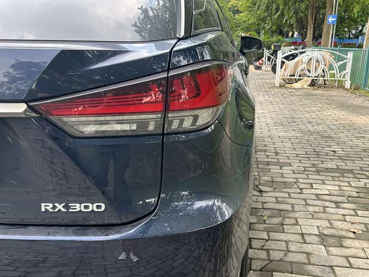 Фото 8 - Lexus RX