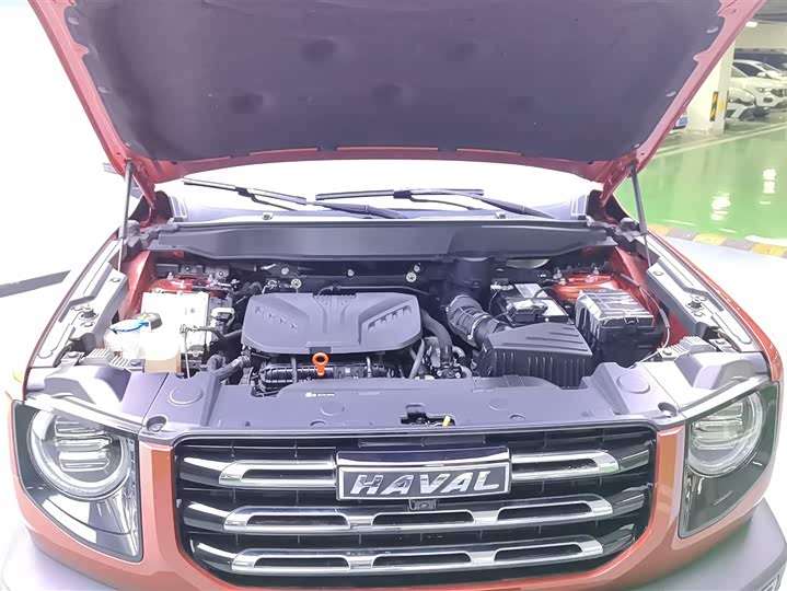 Фото 10 - Haval Dargo