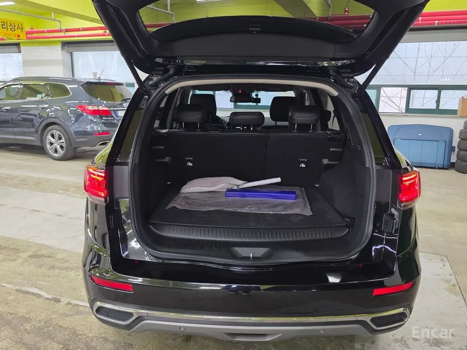 Фото 9 - Renault QM6