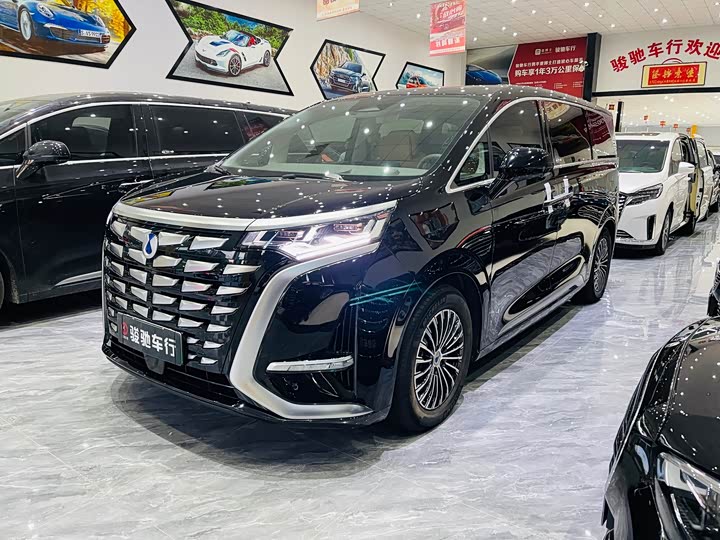 Фото 1 - Denza D9