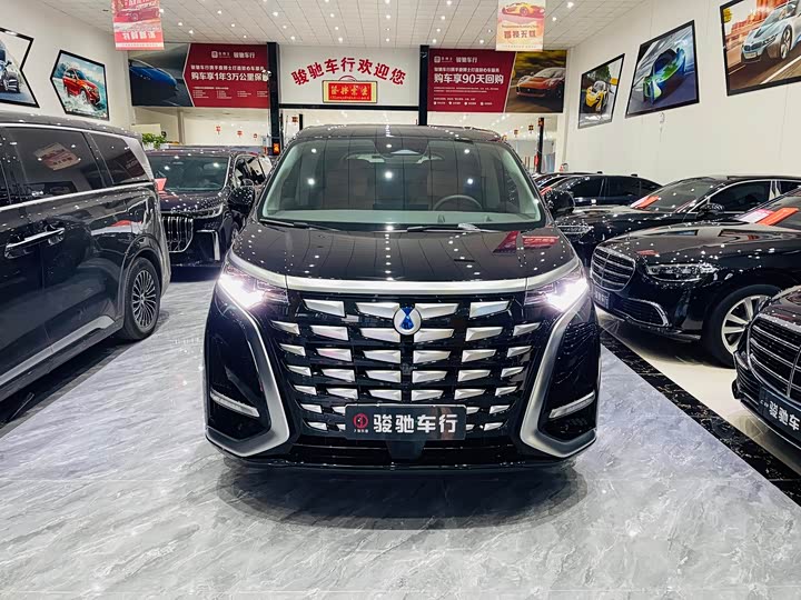 Фото 2 - Denza D9