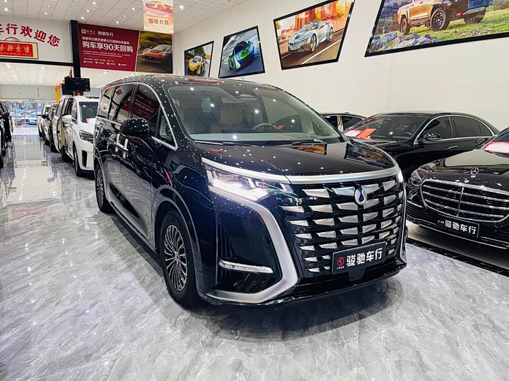 Фото 3 - Denza D9