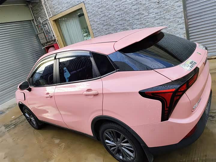 Фото 5 - Hozon V