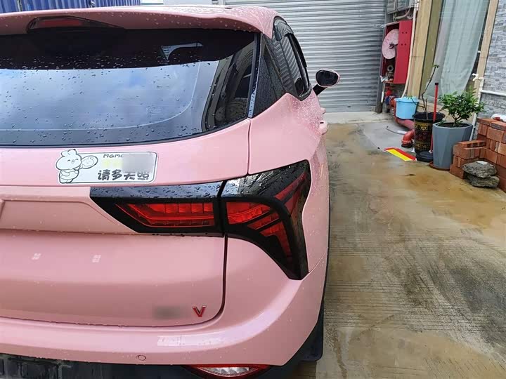 Фото 8 - Hozon V