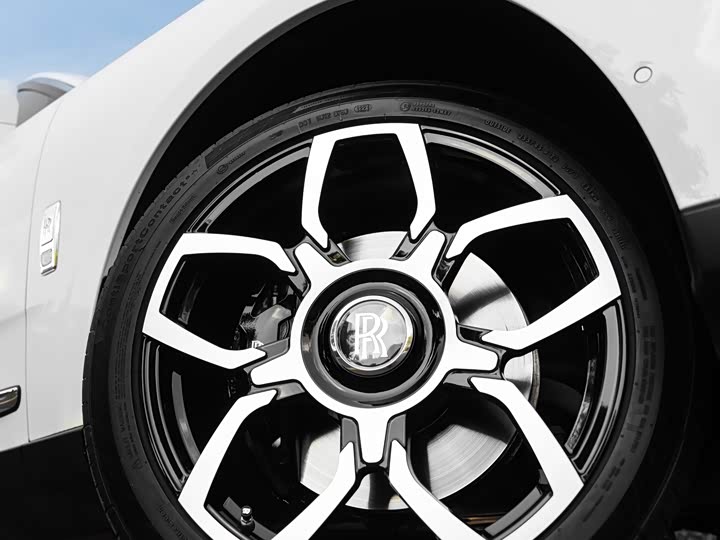 Фото 11 - Rolls-Royce Cullinan