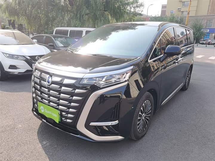 Фото 1 - Denza D9