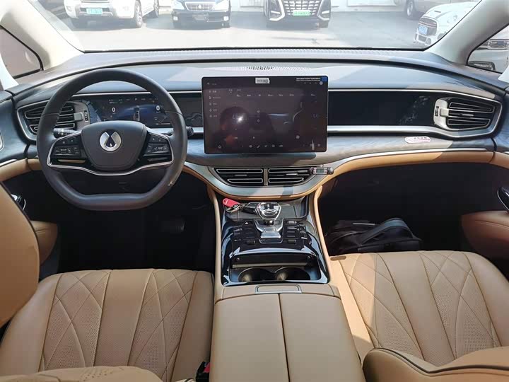 Фото 10 - Denza D9