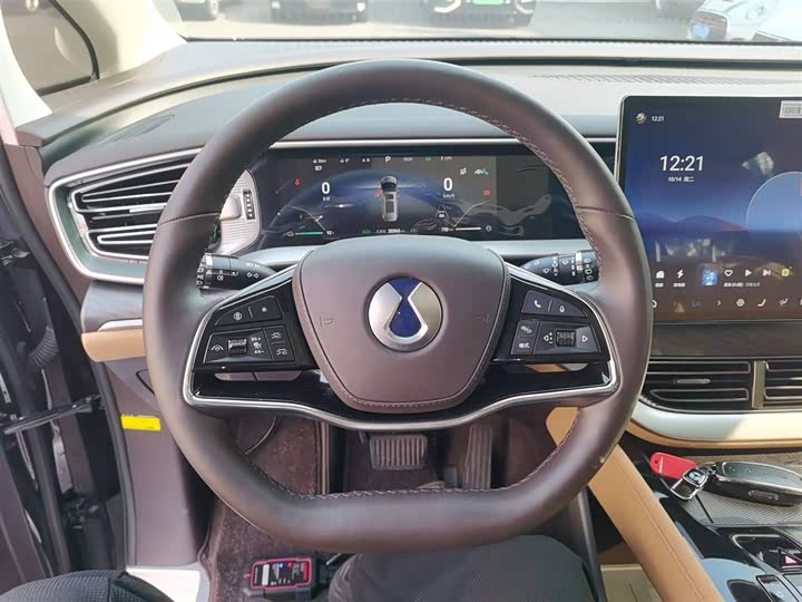 Фото 11 - Denza D9