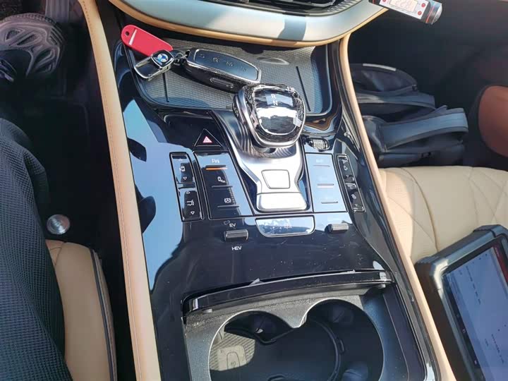 Фото 14 - Denza D9