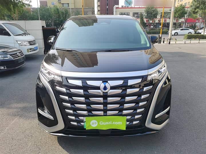 Фото 3 - Denza D9