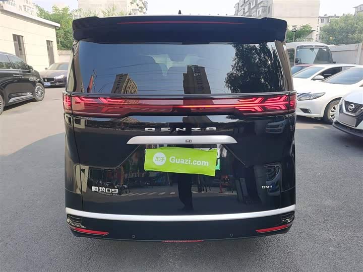 Фото 6 - Denza D9