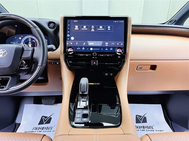 Фото 10 - Toyota Alphard