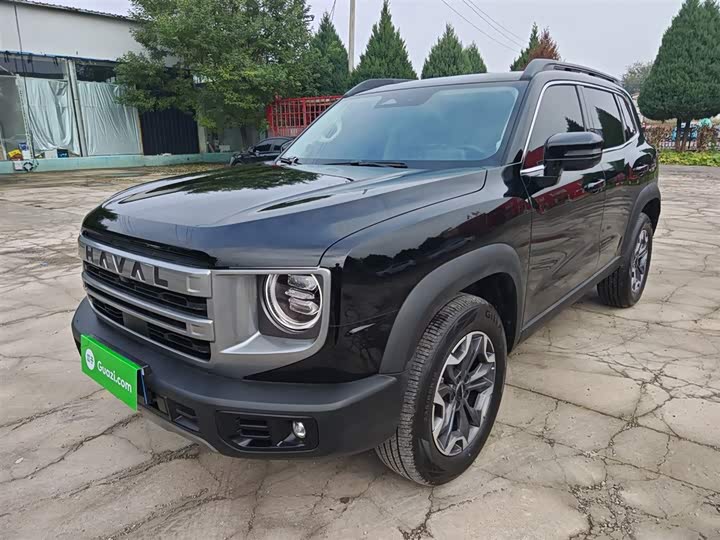 Фото 1 - Haval Dargo
