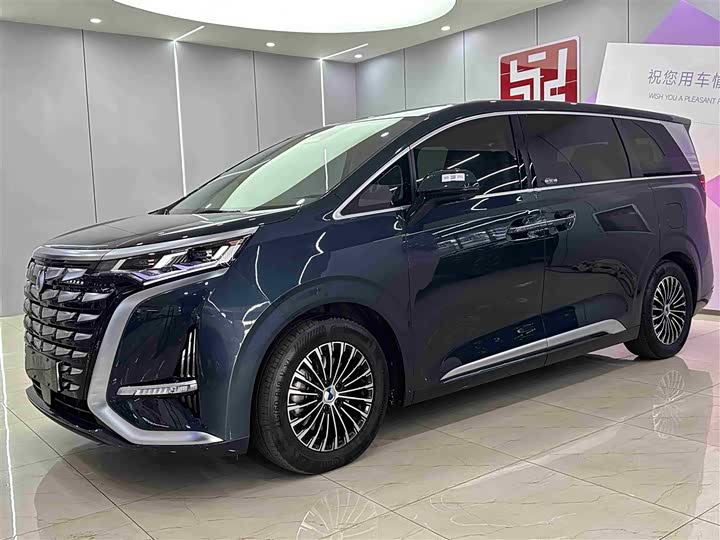 Фото 1 - Denza D9