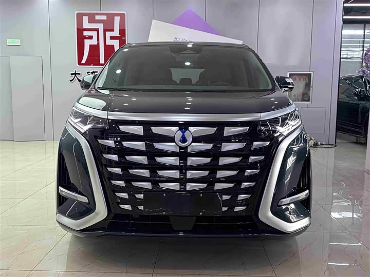 Фото 2 - Denza D9