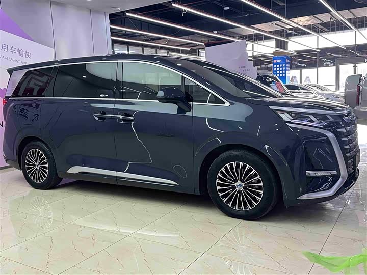 Фото 3 - Denza D9