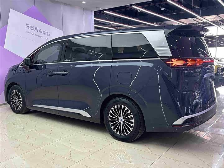 Фото 4 - Denza D9