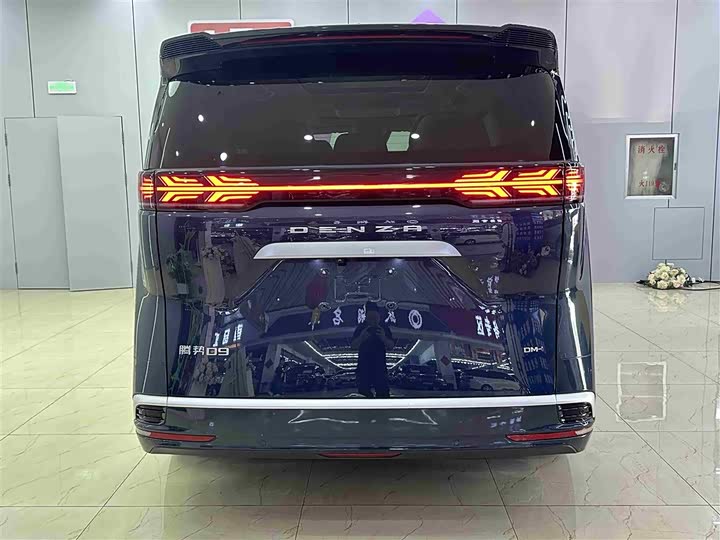 Фото 5 - Denza D9