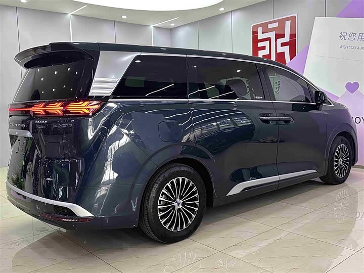 Фото 6 - Denza D9