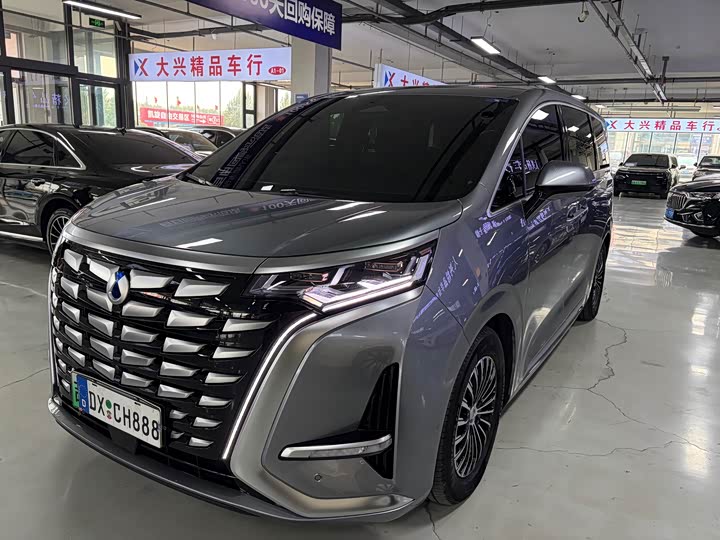 Фото 1 - Denza D9