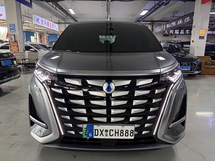 Фото 2 - Denza D9