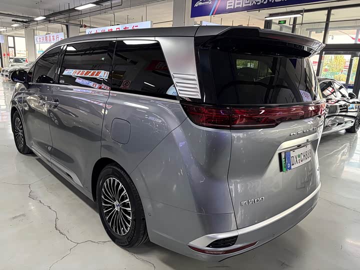 Фото 7 - Denza D9