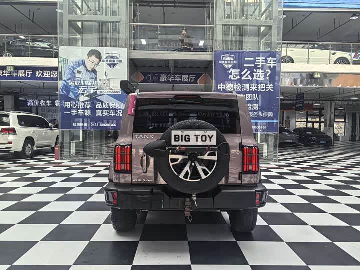 Фото 3 - Tank 300