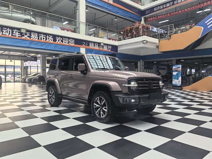 Фото 5 - Tank 300