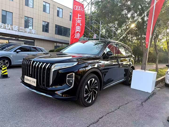 Фото 1 - Hongqi HS7 Hybrid