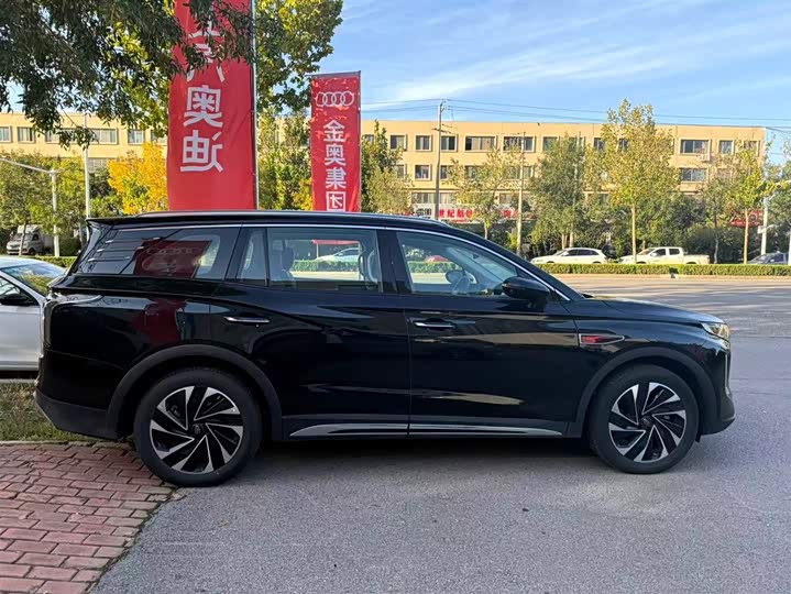 Фото 10 - Hongqi HS7 Hybrid