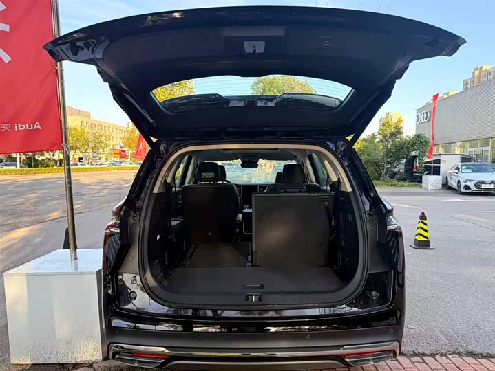 Фото 11 - Hongqi HS7 Hybrid